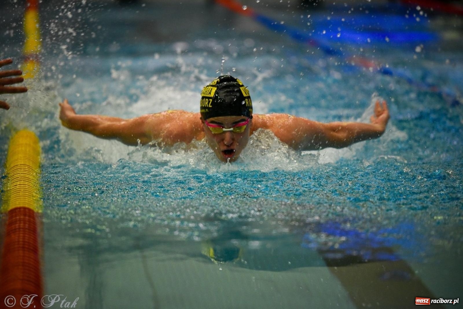 Zdjęcie w galerii na portalu naszraciborz.pl: Rywalizacja pływacka o Puchar Marszałka Województwa Śląskiego na krótkim basenie w Raciborzu wiadomości z regionu