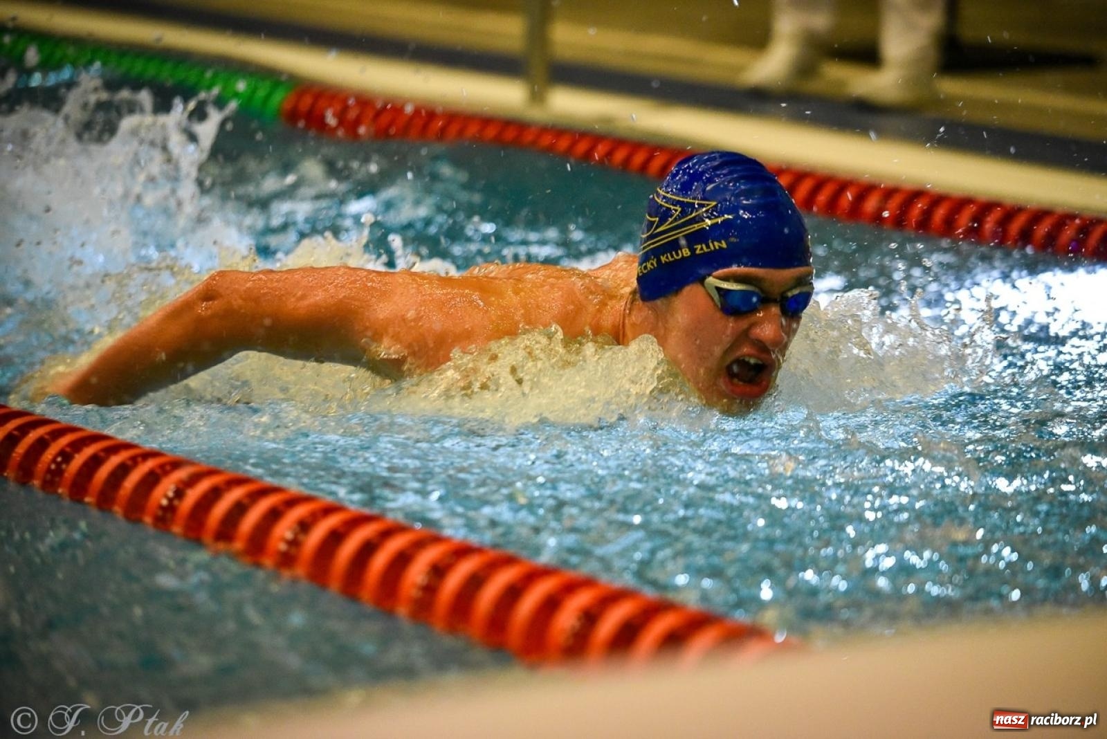 Zdjęcie w galerii na portalu naszraciborz.pl: Rywalizacja pływacka o Puchar Marszałka Województwa Śląskiego na krótkim basenie w Raciborzu wiadomości z regionu