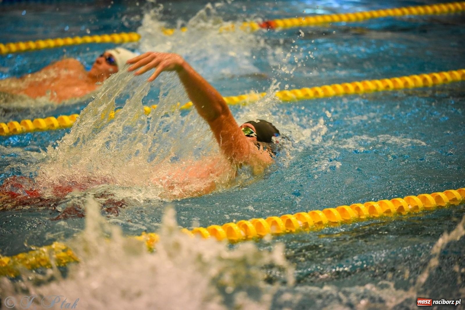 Zdjęcie w galerii na portalu naszraciborz.pl: Rywalizacja pływacka o Puchar Marszałka Województwa Śląskiego na krótkim basenie w Raciborzu wiadomości z regionu