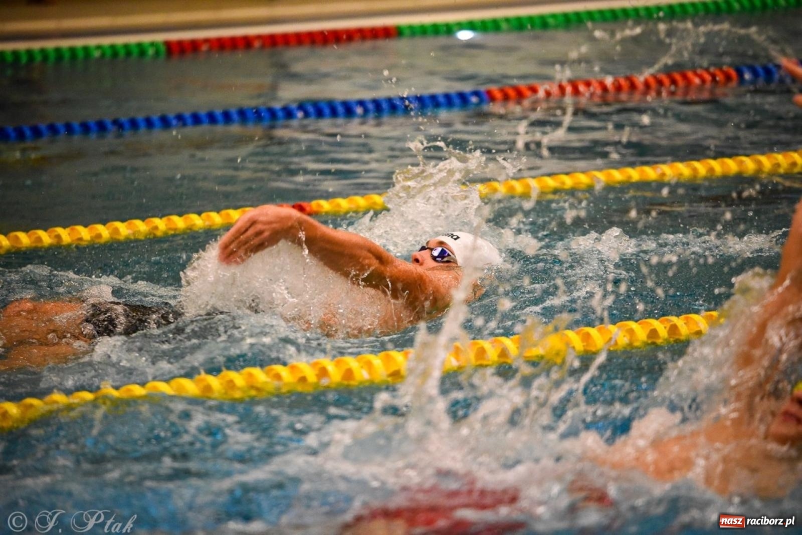 Zdjęcie w galerii na portalu naszraciborz.pl: Rywalizacja pływacka o Puchar Marszałka Województwa Śląskiego na krótkim basenie w Raciborzu wiadomości z regionu