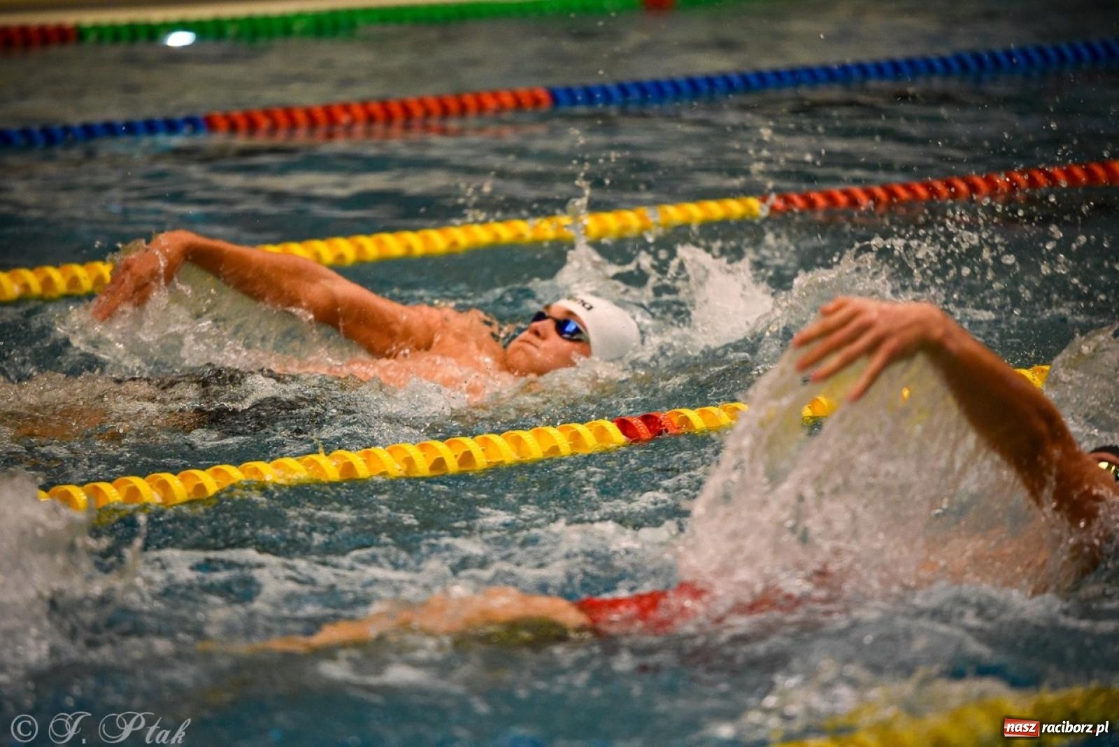 Zdjęcie w galerii na portalu naszraciborz.pl: Rywalizacja pływacka o Puchar Marszałka Województwa Śląskiego na krótkim basenie w Raciborzu wiadomości z regionu
