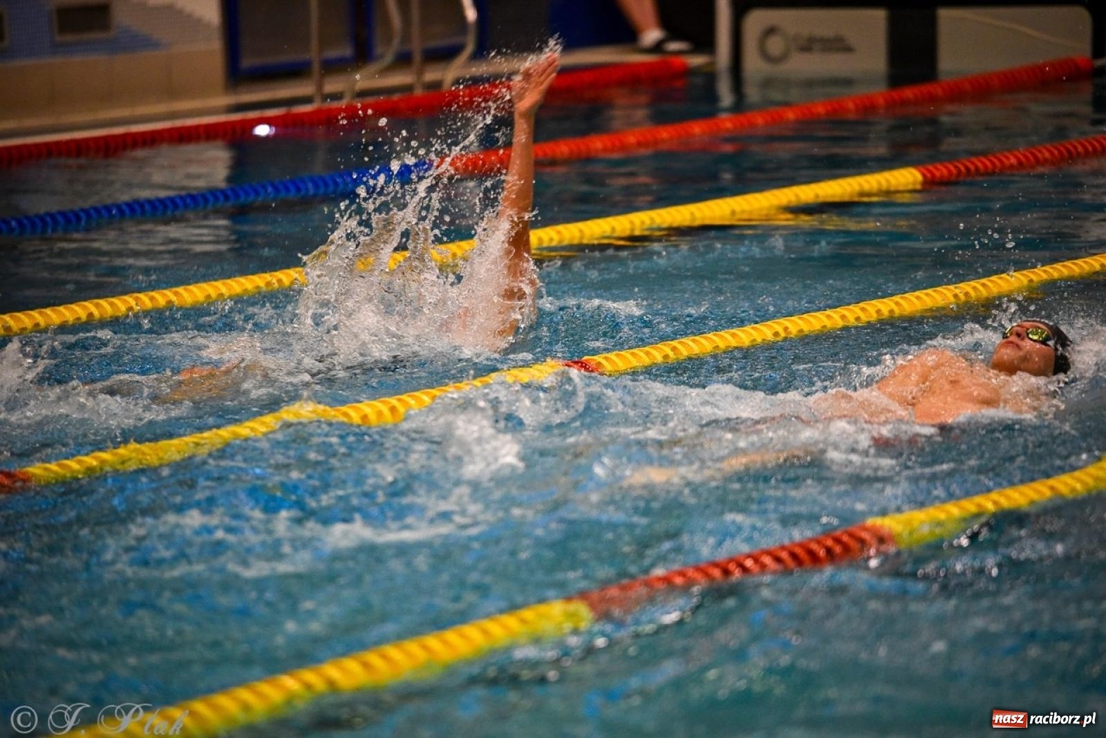 Zdjęcie w galerii na portalu naszraciborz.pl: Rywalizacja pływacka o Puchar Marszałka Województwa Śląskiego na krótkim basenie w Raciborzu wiadomości z regionu