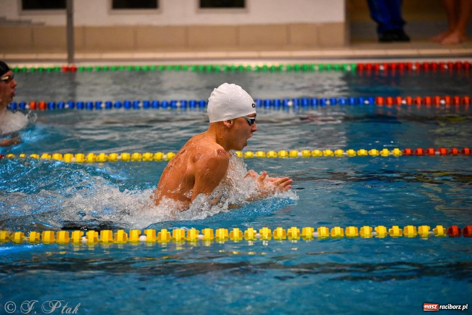 Zdjęcie w galerii na portalu naszraciborz.pl: Rywalizacja pływacka o Puchar Marszałka Województwa Śląskiego na krótkim basenie w Raciborzu wiadomości z regionu