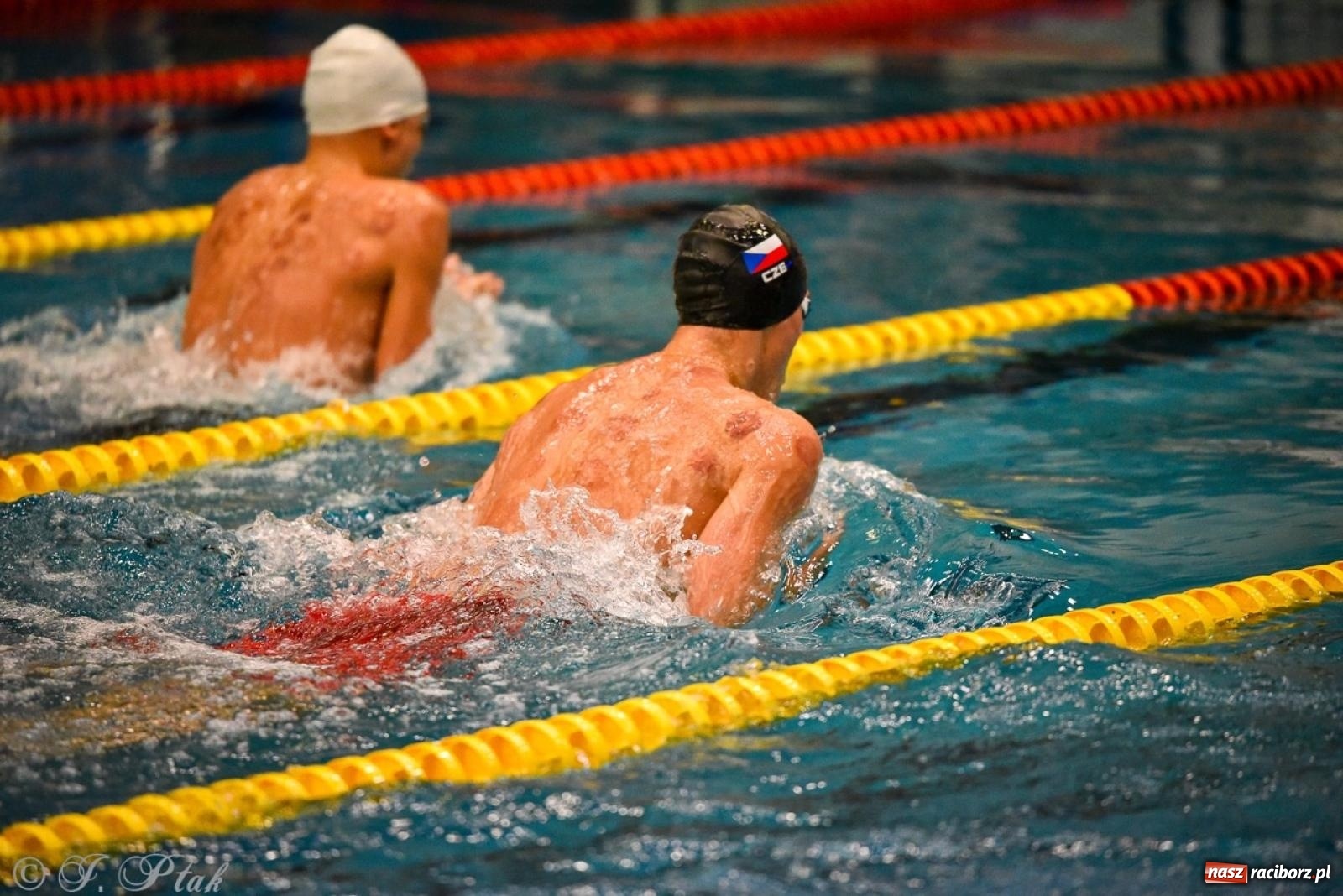 Zdjęcie w galerii na portalu naszraciborz.pl: Rywalizacja pływacka o Puchar Marszałka Województwa Śląskiego na krótkim basenie w Raciborzu wiadomości z regionu