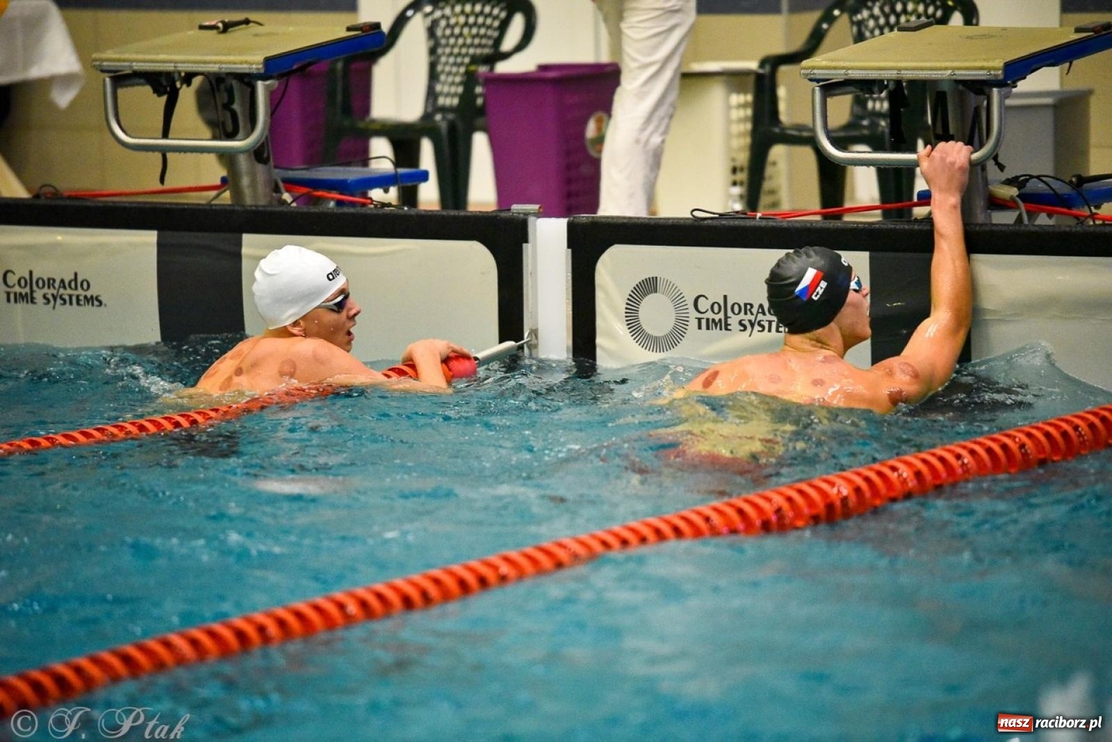 Zdjęcie w galerii na portalu naszraciborz.pl: Rywalizacja pływacka o Puchar Marszałka Województwa Śląskiego na krótkim basenie w Raciborzu wiadomości z regionu