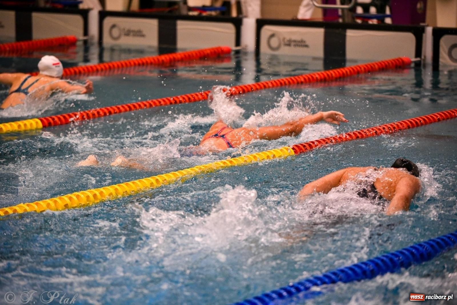 Zdjęcie w galerii na portalu naszraciborz.pl: Rywalizacja pływacka o Puchar Marszałka Województwa Śląskiego na krótkim basenie w Raciborzu wiadomości z regionu