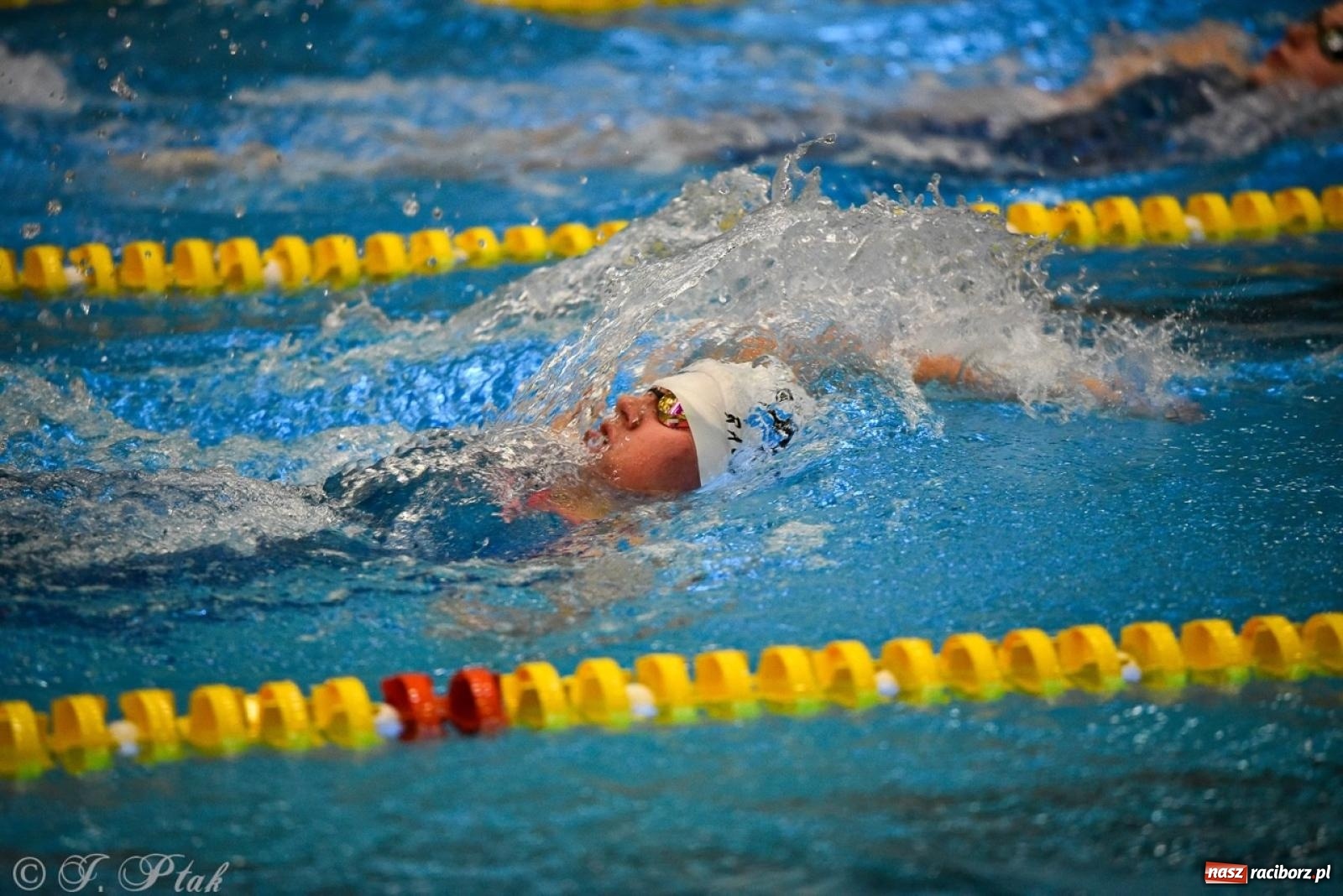 Zdjęcie w galerii na portalu naszraciborz.pl: Rywalizacja pływacka o Puchar Marszałka Województwa Śląskiego na krótkim basenie w Raciborzu wiadomości z regionu