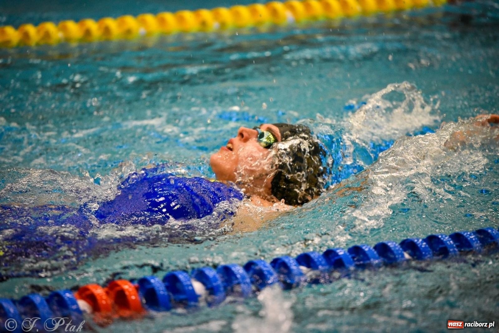 Zdjęcie w galerii na portalu naszraciborz.pl: Rywalizacja pływacka o Puchar Marszałka Województwa Śląskiego na krótkim basenie w Raciborzu wiadomości z regionu