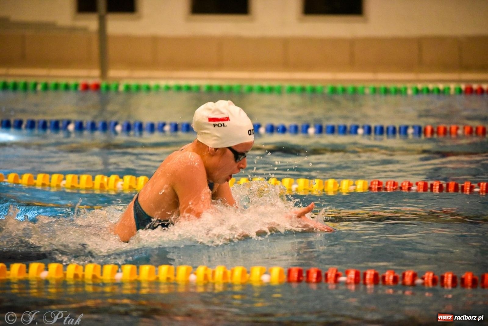 Zdjęcie w galerii na portalu naszraciborz.pl: Rywalizacja pływacka o Puchar Marszałka Województwa Śląskiego na krótkim basenie w Raciborzu wiadomości z regionu