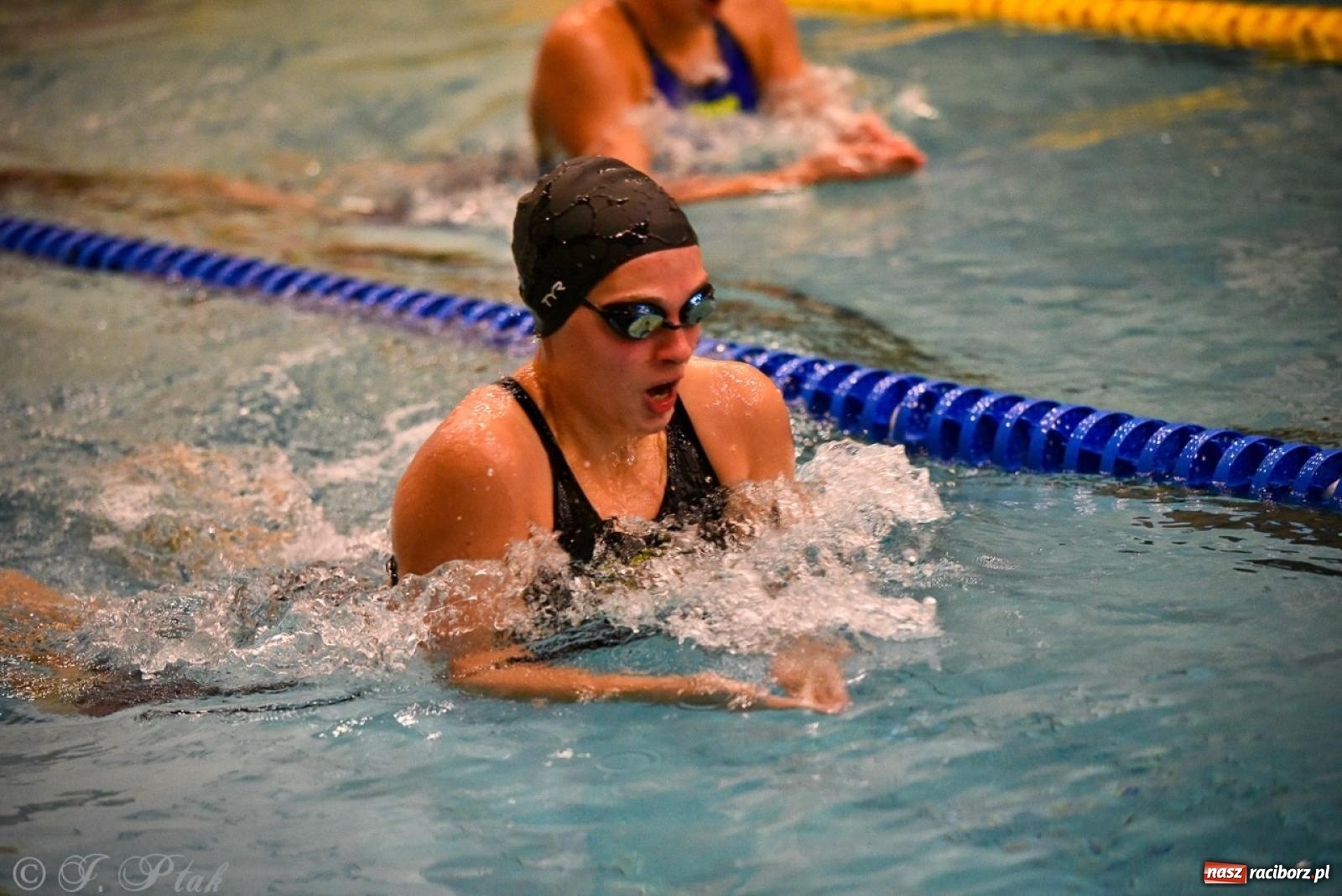 Zdjęcie w galerii na portalu naszraciborz.pl: Rywalizacja pływacka o Puchar Marszałka Województwa Śląskiego na krótkim basenie w Raciborzu wiadomości z regionu