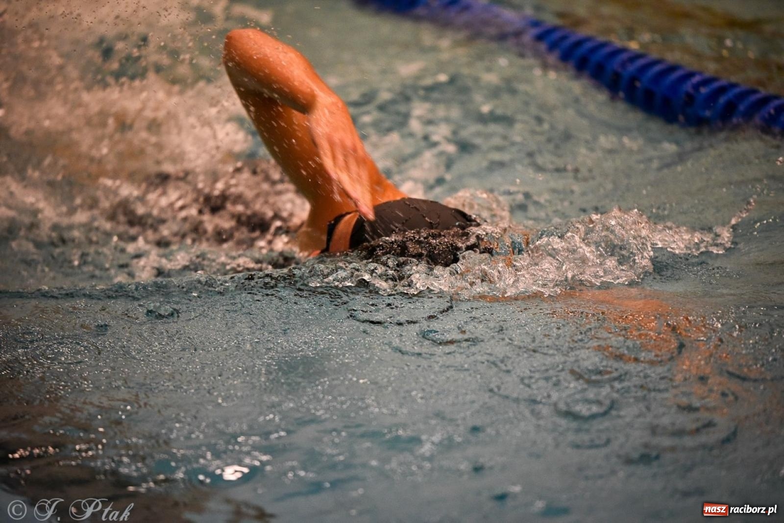 Zdjęcie w galerii na portalu naszraciborz.pl: Rywalizacja pływacka o Puchar Marszałka Województwa Śląskiego na krótkim basenie w Raciborzu wiadomości z regionu