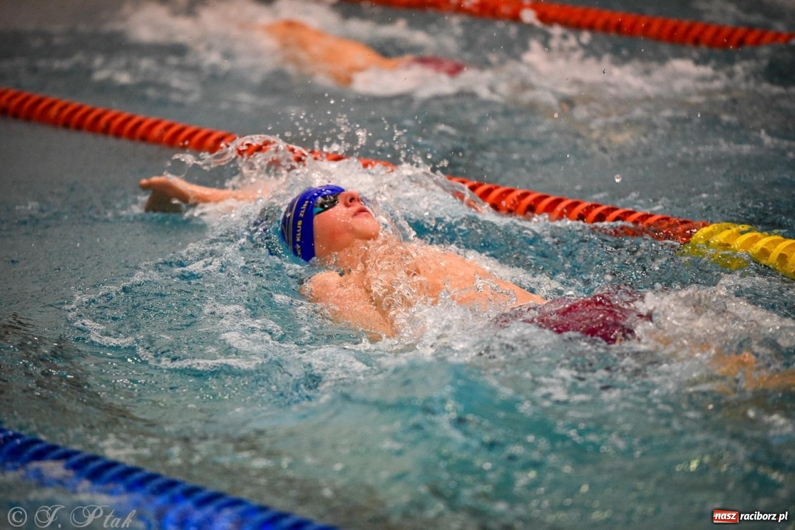 Zdjęcie w galerii na portalu naszraciborz.pl: Rywalizacja pływacka o Puchar Marszałka Województwa Śląskiego na krótkim basenie w Raciborzu wiadomości z regionu