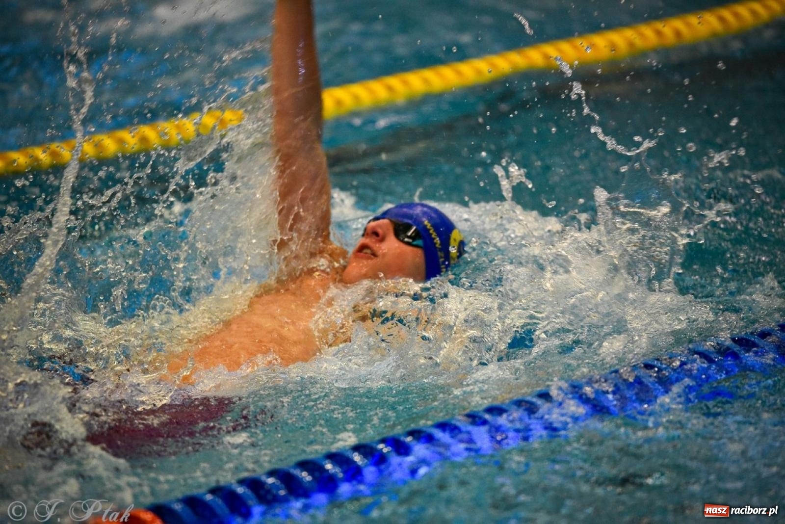 Zdjęcie w galerii na portalu naszraciborz.pl: Rywalizacja pływacka o Puchar Marszałka Województwa Śląskiego na krótkim basenie w Raciborzu wiadomości z regionu