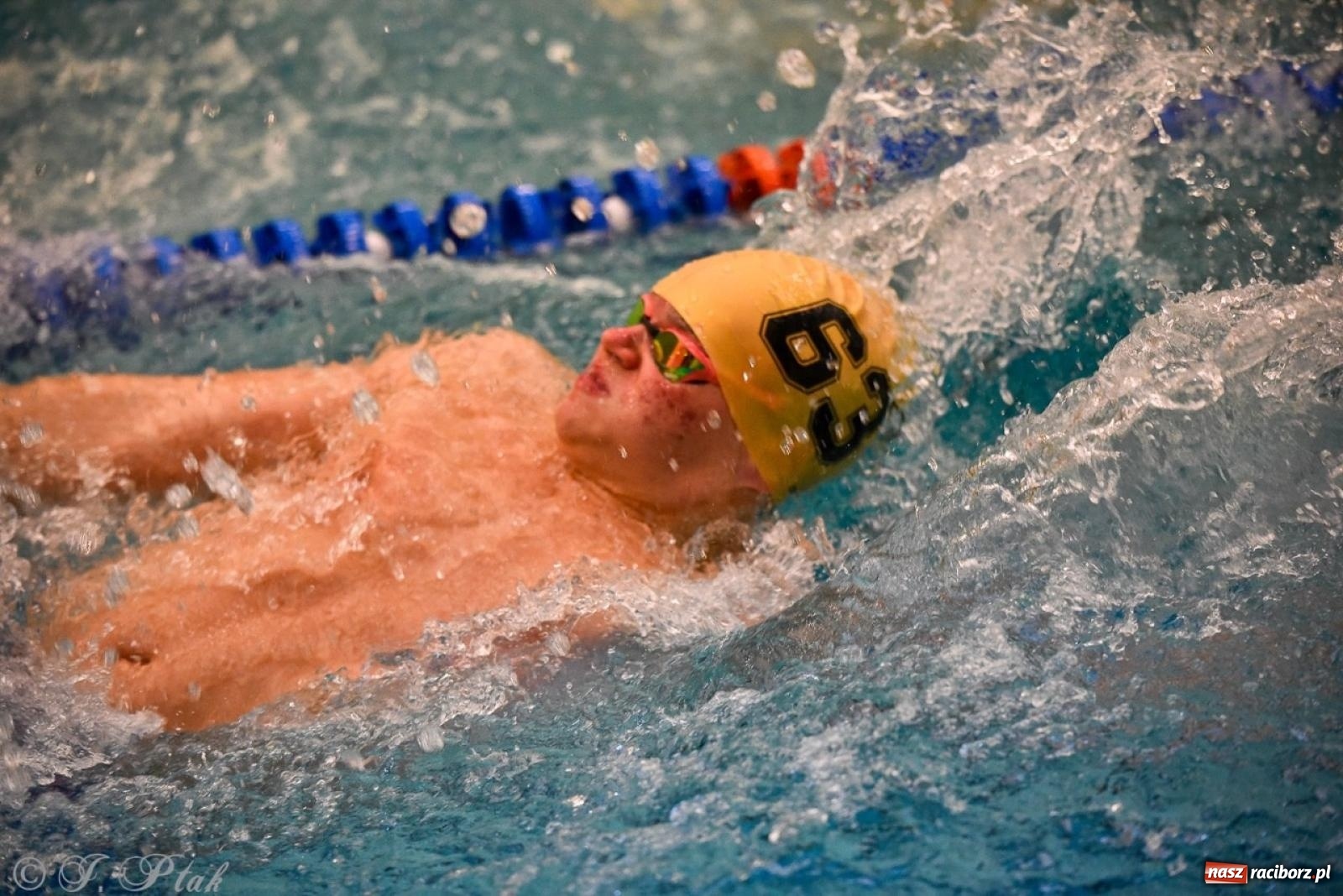 Zdjęcie w galerii na portalu naszraciborz.pl: Rywalizacja pływacka o Puchar Marszałka Województwa Śląskiego na krótkim basenie w Raciborzu wiadomości z regionu