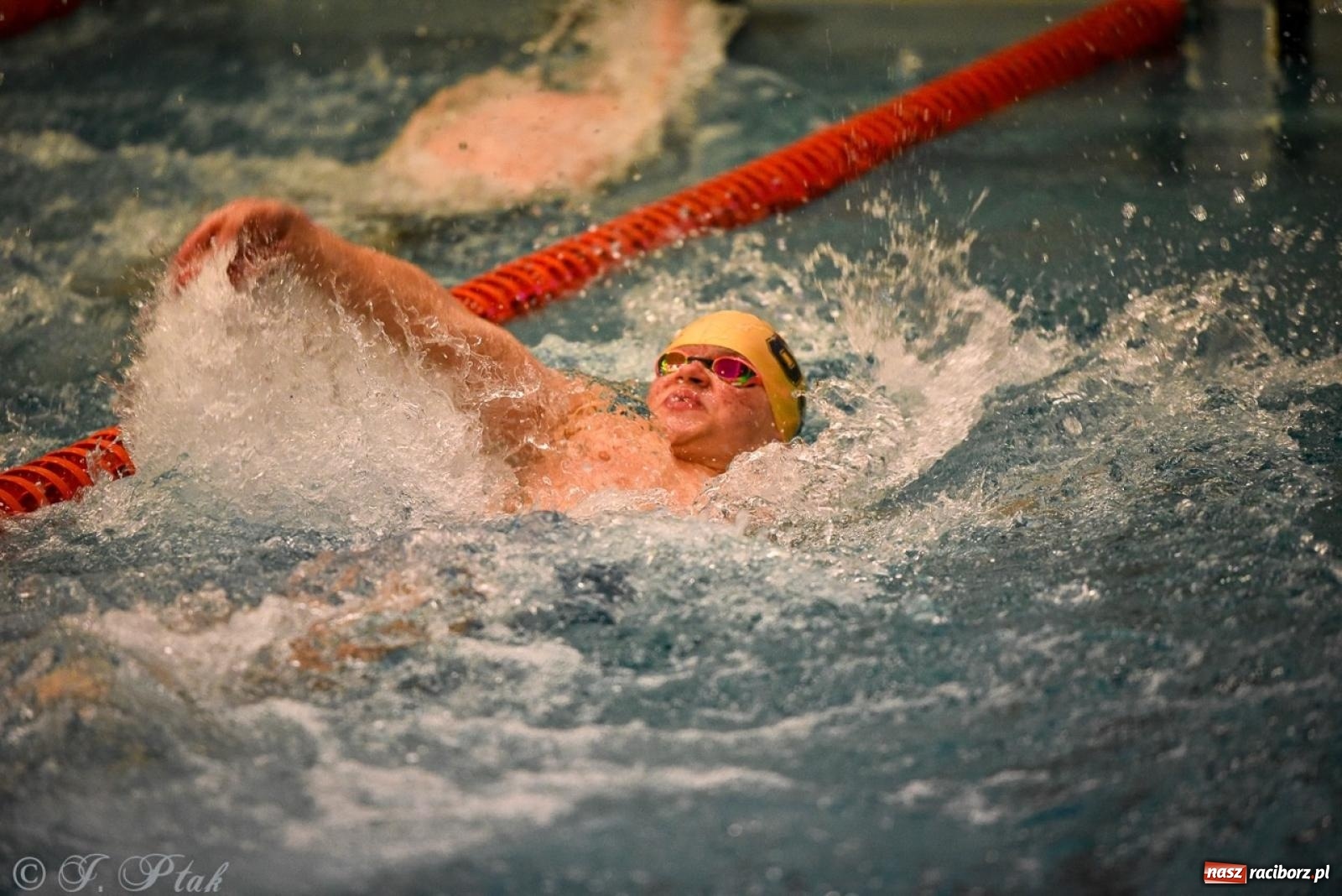 Zdjęcie w galerii na portalu naszraciborz.pl: Rywalizacja pływacka o Puchar Marszałka Województwa Śląskiego na krótkim basenie w Raciborzu wiadomości z regionu
