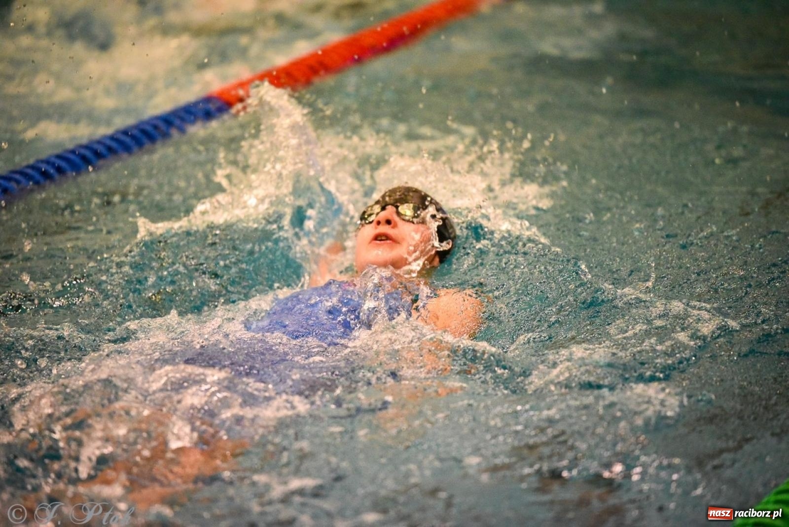 Zdjęcie w galerii na portalu naszraciborz.pl: Rywalizacja pływacka o Puchar Marszałka Województwa Śląskiego na krótkim basenie w Raciborzu wiadomości z regionu