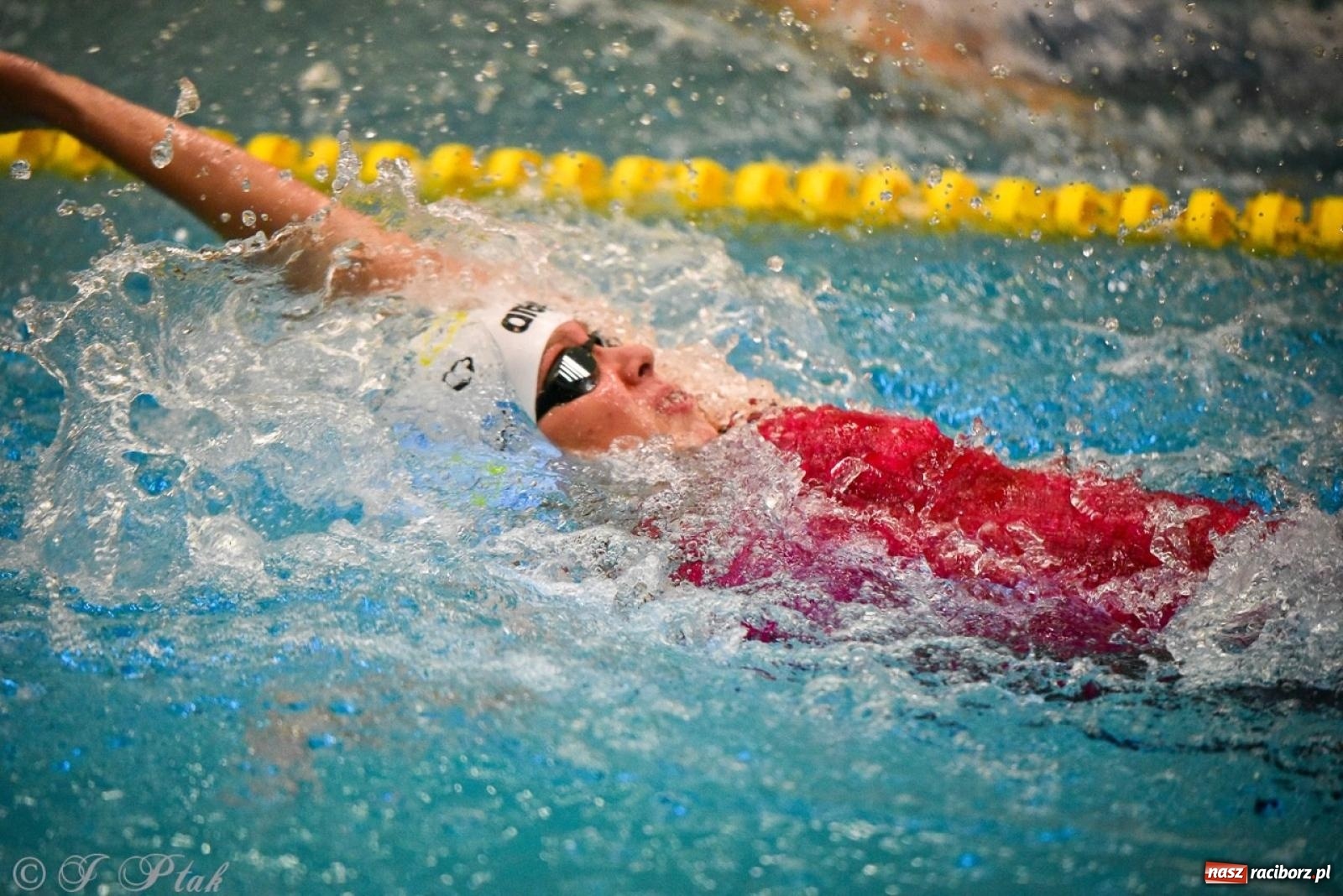 Zdjęcie w galerii na portalu naszraciborz.pl: Rywalizacja pływacka o Puchar Marszałka Województwa Śląskiego na krótkim basenie w Raciborzu wiadomości z regionu