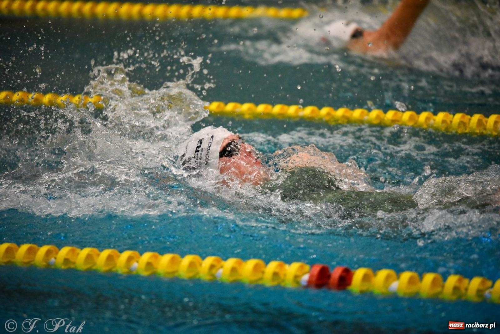Zdjęcie w galerii na portalu naszraciborz.pl: Rywalizacja pływacka o Puchar Marszałka Województwa Śląskiego na krótkim basenie w Raciborzu wiadomości z regionu
