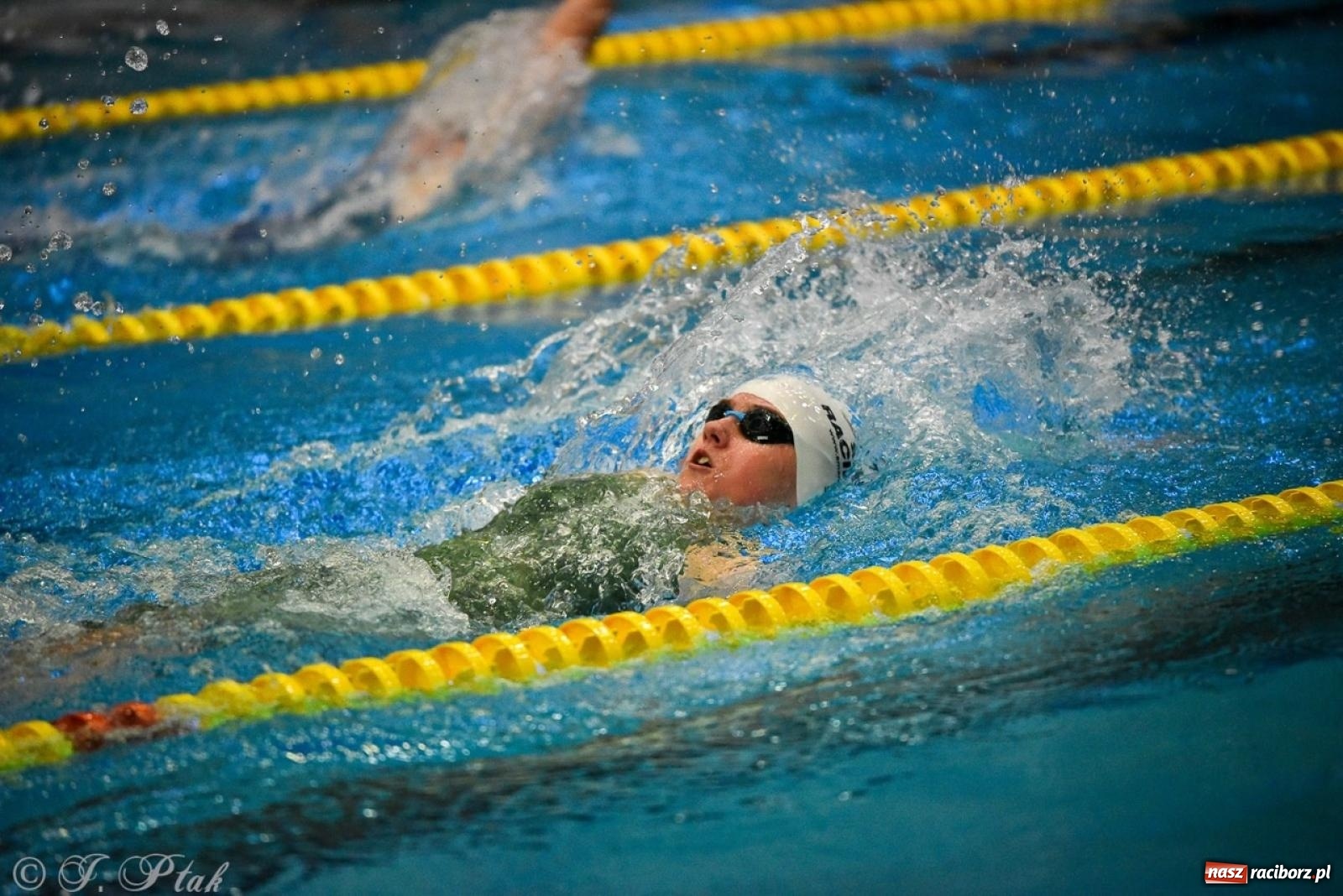 Zdjęcie w galerii na portalu naszraciborz.pl: Rywalizacja pływacka o Puchar Marszałka Województwa Śląskiego na krótkim basenie w Raciborzu wiadomości z regionu