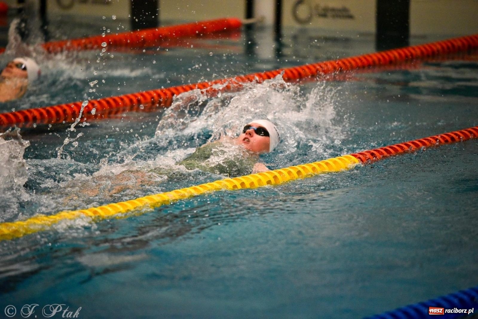 Zdjęcie w galerii na portalu naszraciborz.pl: Rywalizacja pływacka o Puchar Marszałka Województwa Śląskiego na krótkim basenie w Raciborzu wiadomości z regionu