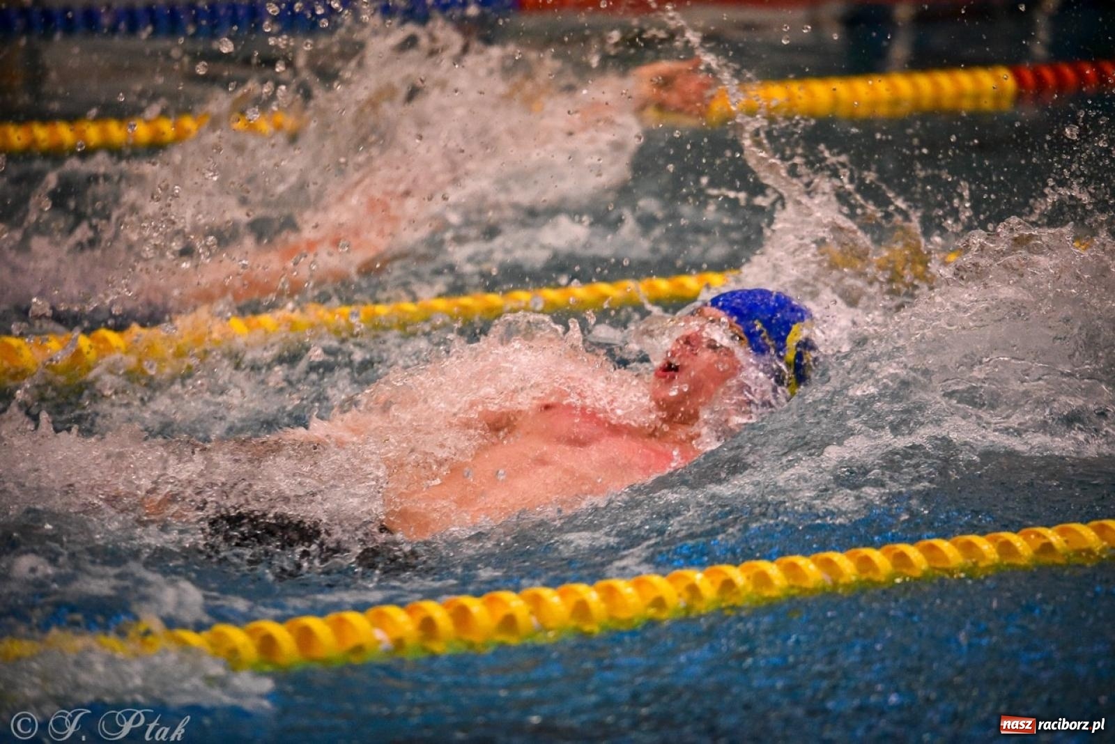 Zdjęcie w galerii na portalu naszraciborz.pl: Rywalizacja pływacka o Puchar Marszałka Województwa Śląskiego na krótkim basenie w Raciborzu wiadomości z regionu
