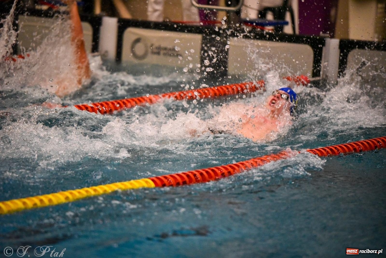 Zdjęcie w galerii na portalu naszraciborz.pl: Rywalizacja pływacka o Puchar Marszałka Województwa Śląskiego na krótkim basenie w Raciborzu wiadomości z regionu