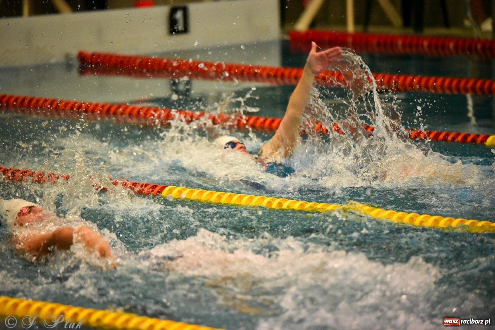 Zdjęcie w galerii na portalu naszraciborz.pl: Rywalizacja pływacka o Puchar Marszałka Województwa Śląskiego na krótkim basenie w Raciborzu wiadomości z regionu