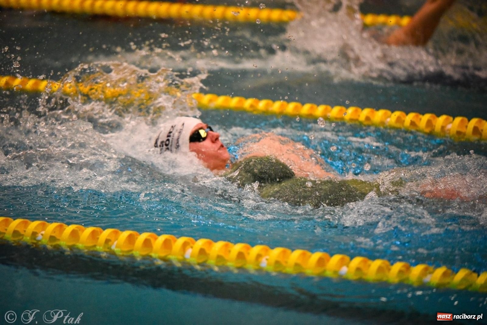 Zdjęcie w galerii na portalu naszraciborz.pl: Rywalizacja pływacka o Puchar Marszałka Województwa Śląskiego na krótkim basenie w Raciborzu wiadomości z regionu