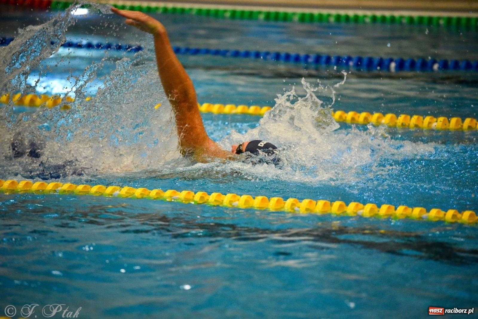 Zdjęcie w galerii na portalu naszraciborz.pl: Rywalizacja pływacka o Puchar Marszałka Województwa Śląskiego na krótkim basenie w Raciborzu wiadomości z regionu