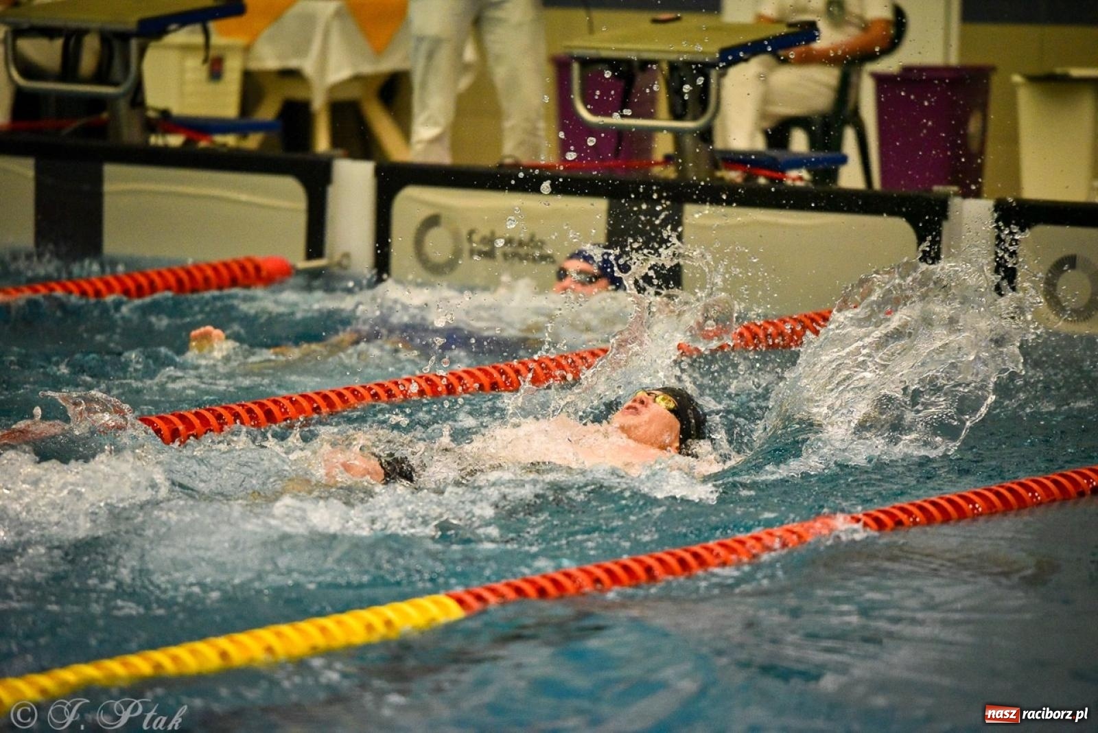 Zdjęcie w galerii na portalu naszraciborz.pl: Rywalizacja pływacka o Puchar Marszałka Województwa Śląskiego na krótkim basenie w Raciborzu wiadomości z regionu