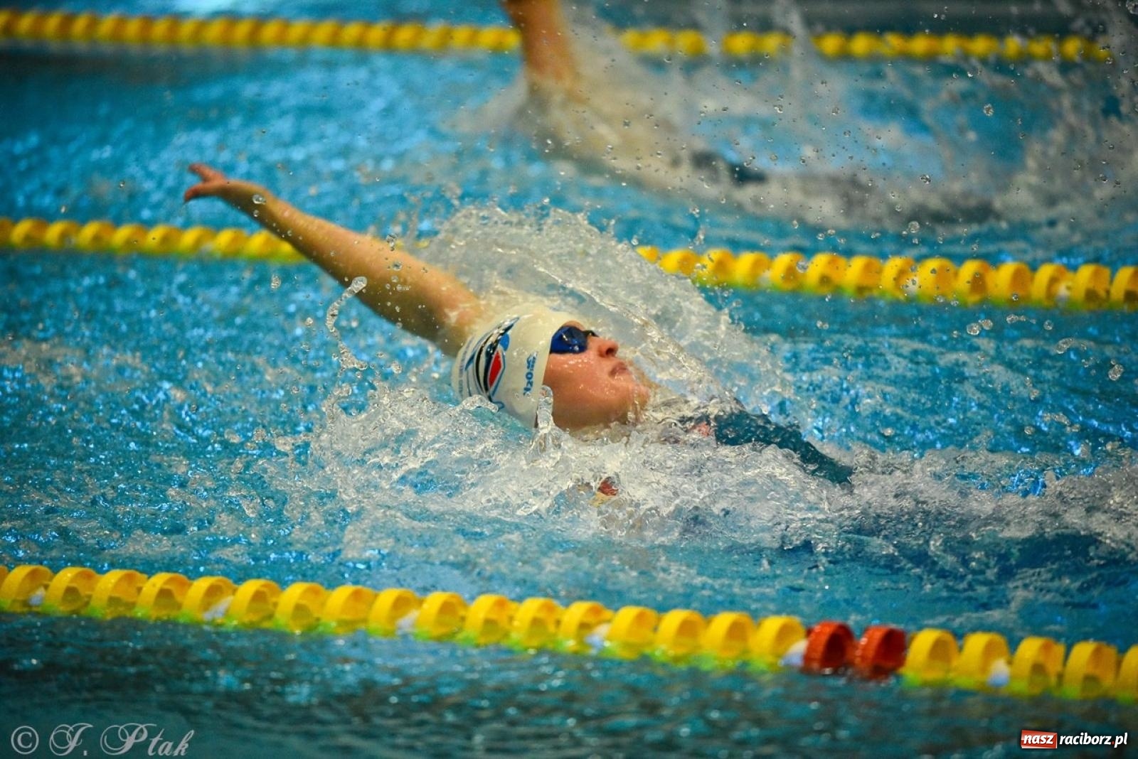 Zdjęcie w galerii na portalu naszraciborz.pl: Rywalizacja pływacka o Puchar Marszałka Województwa Śląskiego na krótkim basenie w Raciborzu wiadomości z regionu