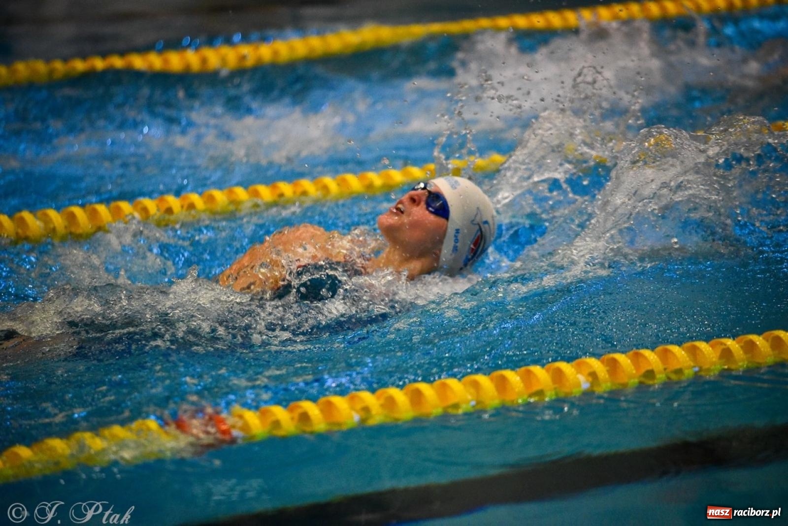 Zdjęcie w galerii na portalu naszraciborz.pl: Rywalizacja pływacka o Puchar Marszałka Województwa Śląskiego na krótkim basenie w Raciborzu wiadomości z regionu
