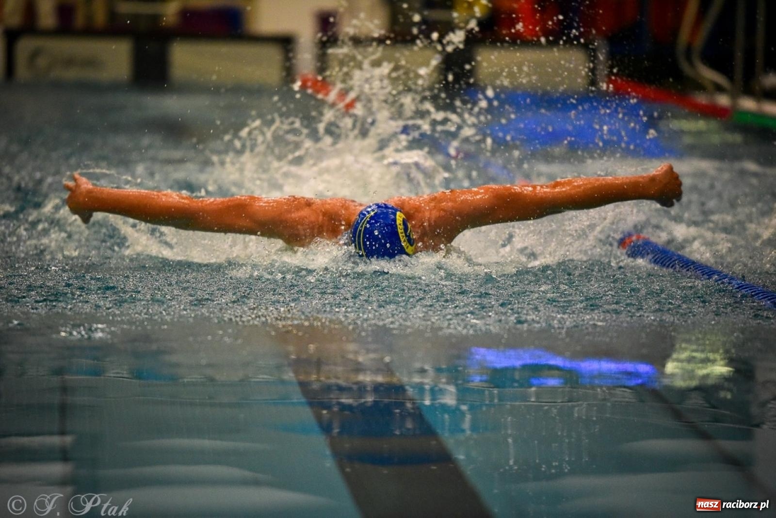 Zdjęcie w galerii na portalu naszraciborz.pl: Rywalizacja pływacka o Puchar Marszałka Województwa Śląskiego na krótkim basenie w Raciborzu wiadomości z regionu