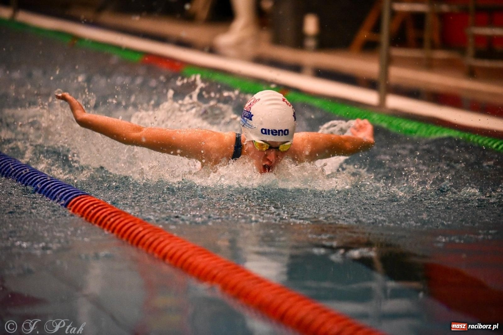 Zdjęcie w galerii na portalu naszraciborz.pl: Rywalizacja pływacka o Puchar Marszałka Województwa Śląskiego na krótkim basenie w Raciborzu wiadomości z regionu