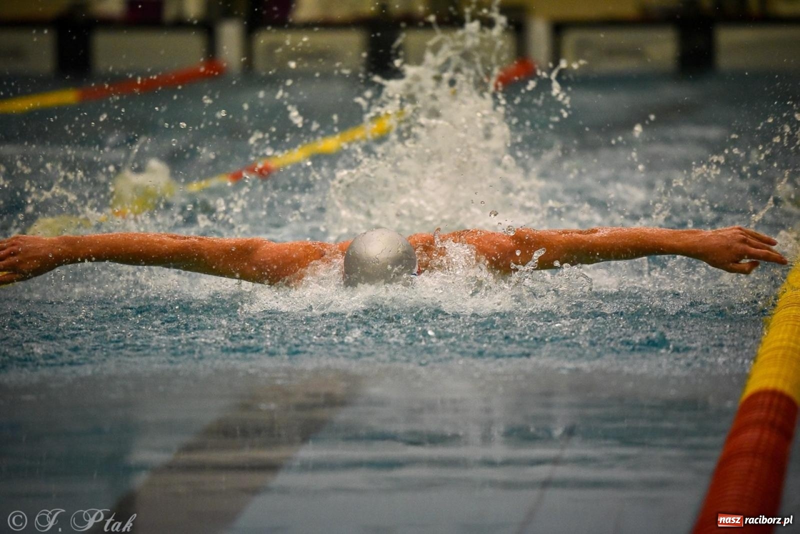 Zdjęcie w galerii na portalu naszraciborz.pl: Rywalizacja pływacka o Puchar Marszałka Województwa Śląskiego na krótkim basenie w Raciborzu wiadomości z regionu