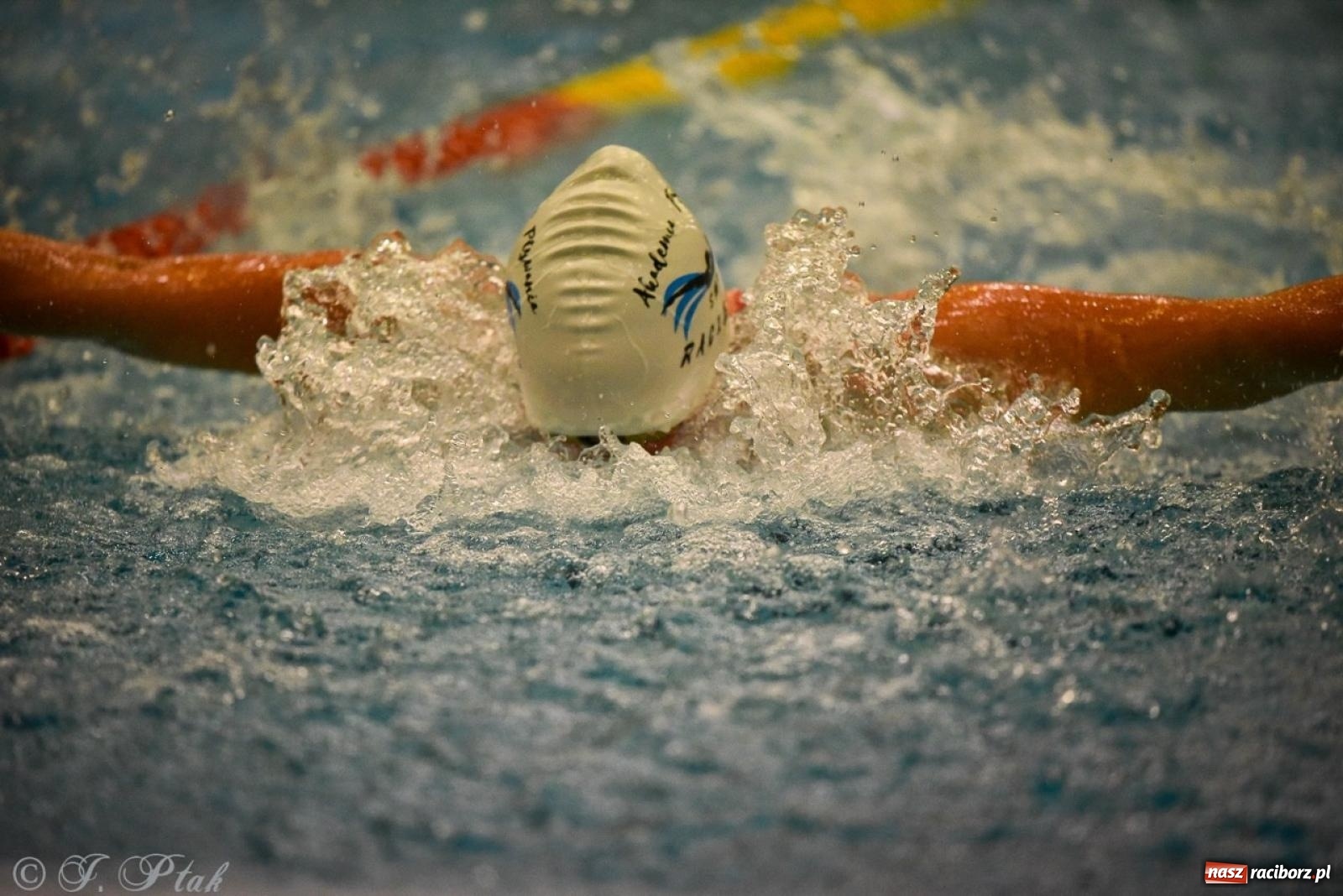 Zdjęcie w galerii na portalu naszraciborz.pl: Rywalizacja pływacka o Puchar Marszałka Województwa Śląskiego na krótkim basenie w Raciborzu wiadomości z regionu