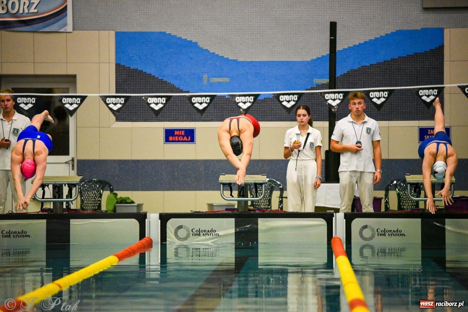 Zdjęcie w galerii na portalu naszraciborz.pl: Rywalizacja pływacka o Puchar Marszałka Województwa Śląskiego na krótkim basenie w Raciborzu wiadomości z regionu