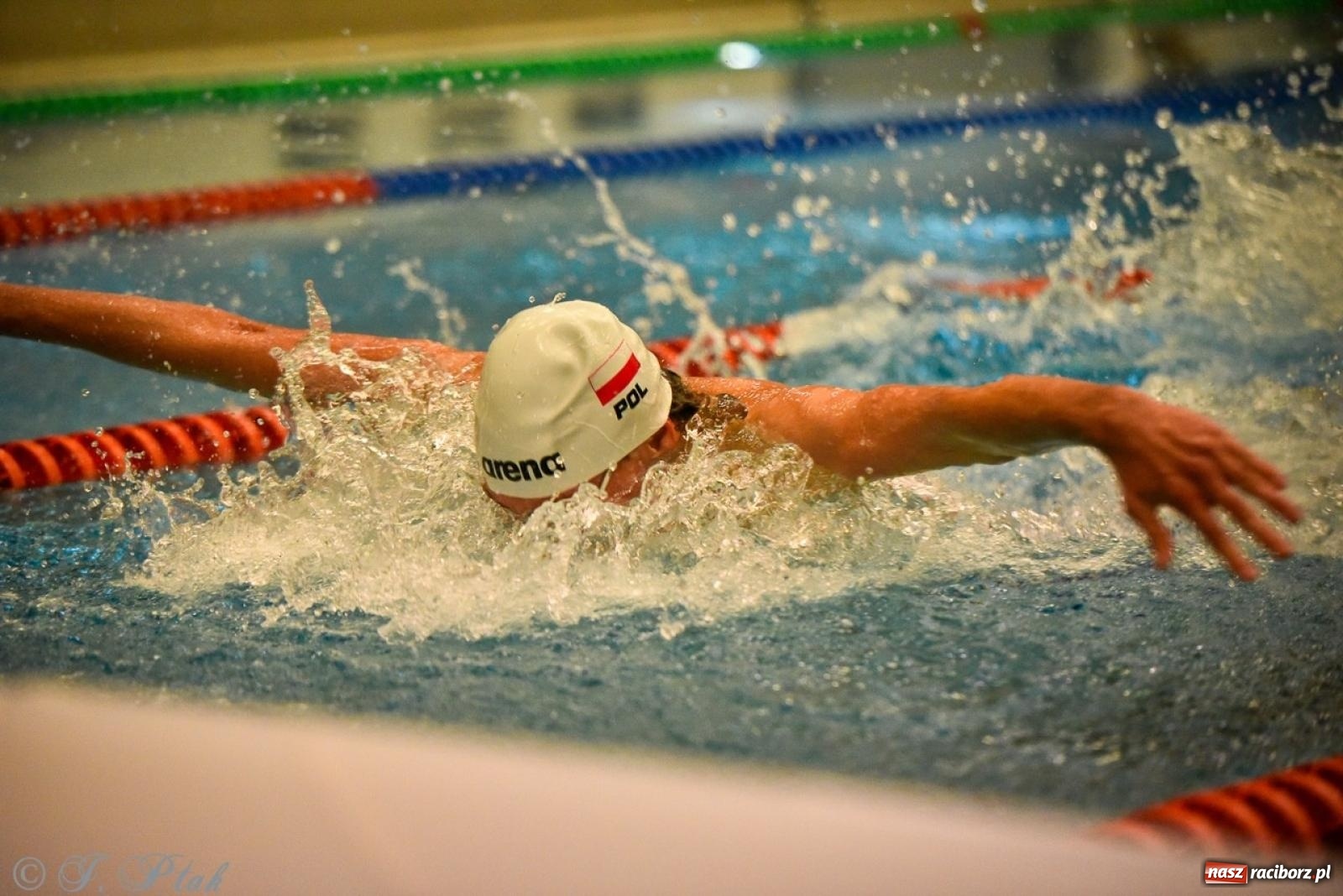 Zdjęcie w galerii na portalu naszraciborz.pl: Rywalizacja pływacka o Puchar Marszałka Województwa Śląskiego na krótkim basenie w Raciborzu wiadomości z regionu