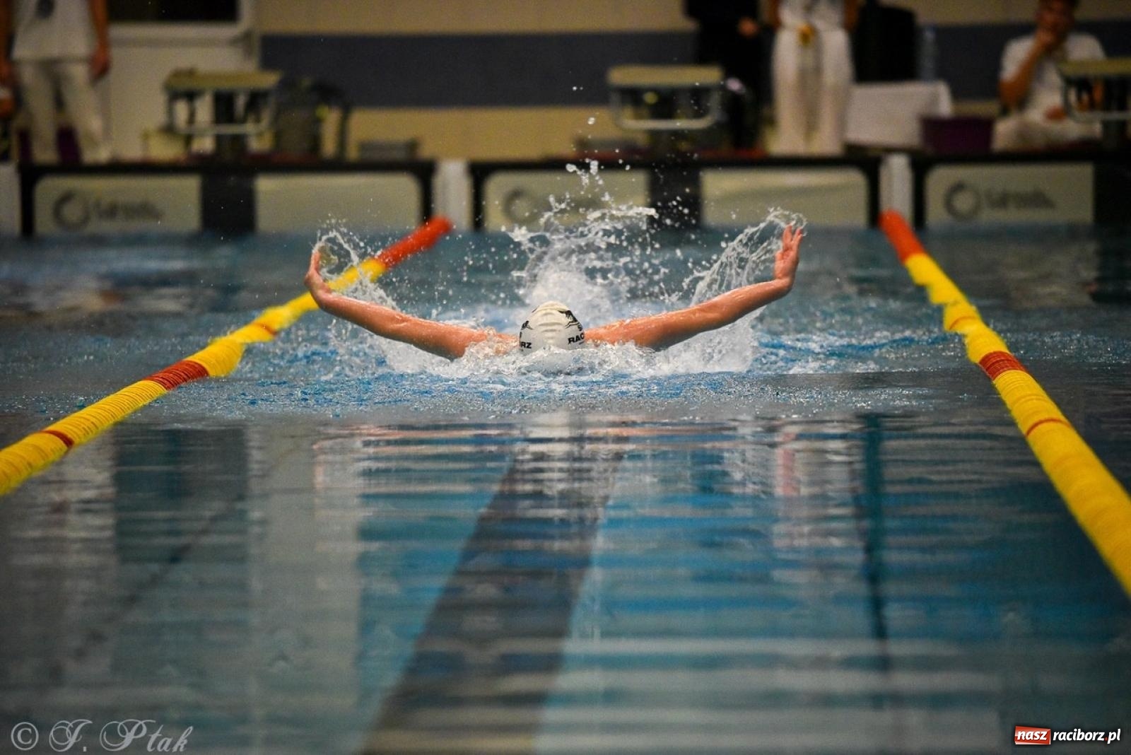 Zdjęcie w galerii na portalu naszraciborz.pl: Rywalizacja pływacka o Puchar Marszałka Województwa Śląskiego na krótkim basenie w Raciborzu wiadomości z regionu