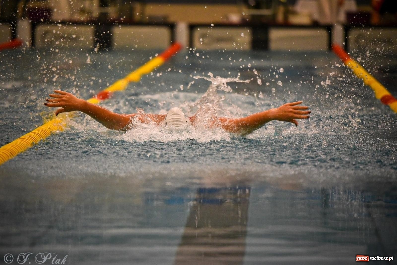 Zdjęcie w galerii na portalu naszraciborz.pl: Rywalizacja pływacka o Puchar Marszałka Województwa Śląskiego na krótkim basenie w Raciborzu wiadomości z regionu