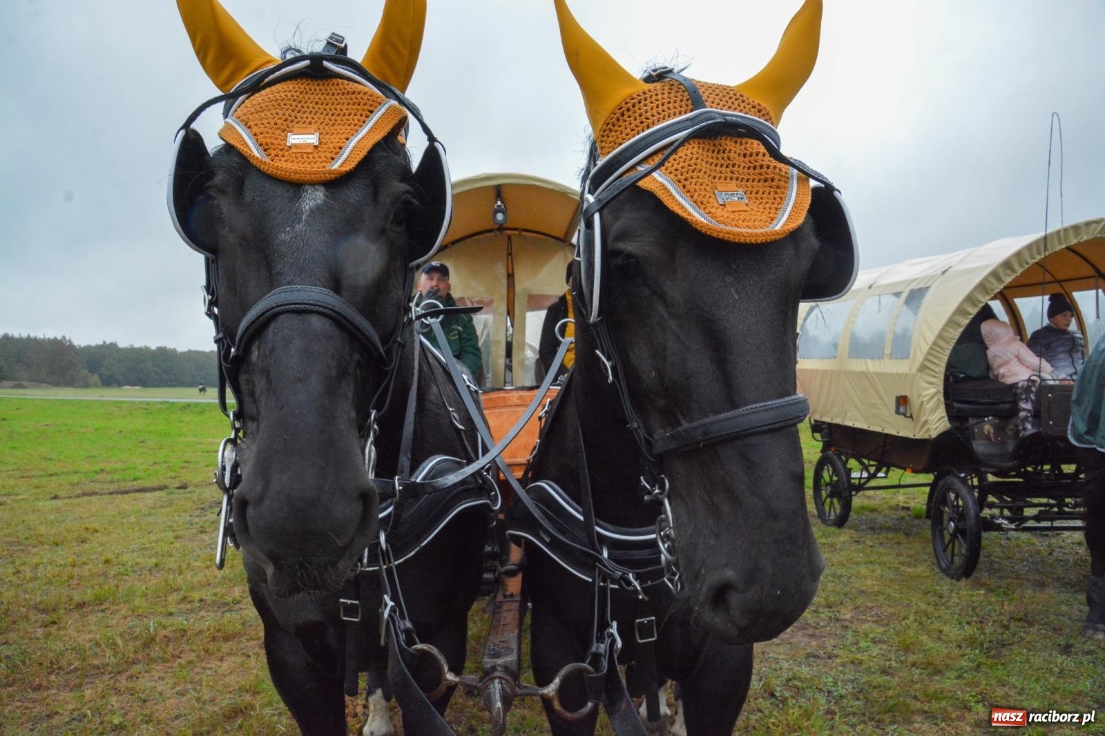 Zdjęcie w galerii na portalu naszraciborz.pl: Piknik Świętego Huberta w Łańcach: tradycja, przygoda i pasja w deszczowej scenerii wiadomości z regionu