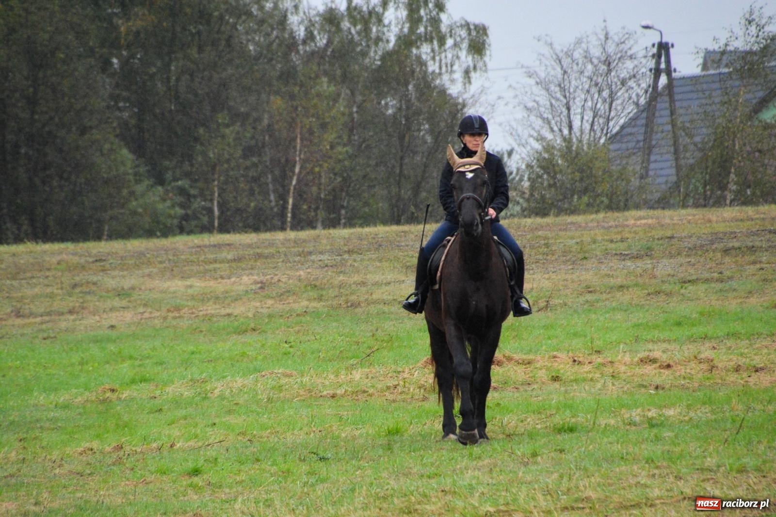 Zdjęcie w galerii na portalu naszraciborz.pl: Piknik Świętego Huberta w Łańcach: tradycja, przygoda i pasja w deszczowej scenerii wiadomości z regionu