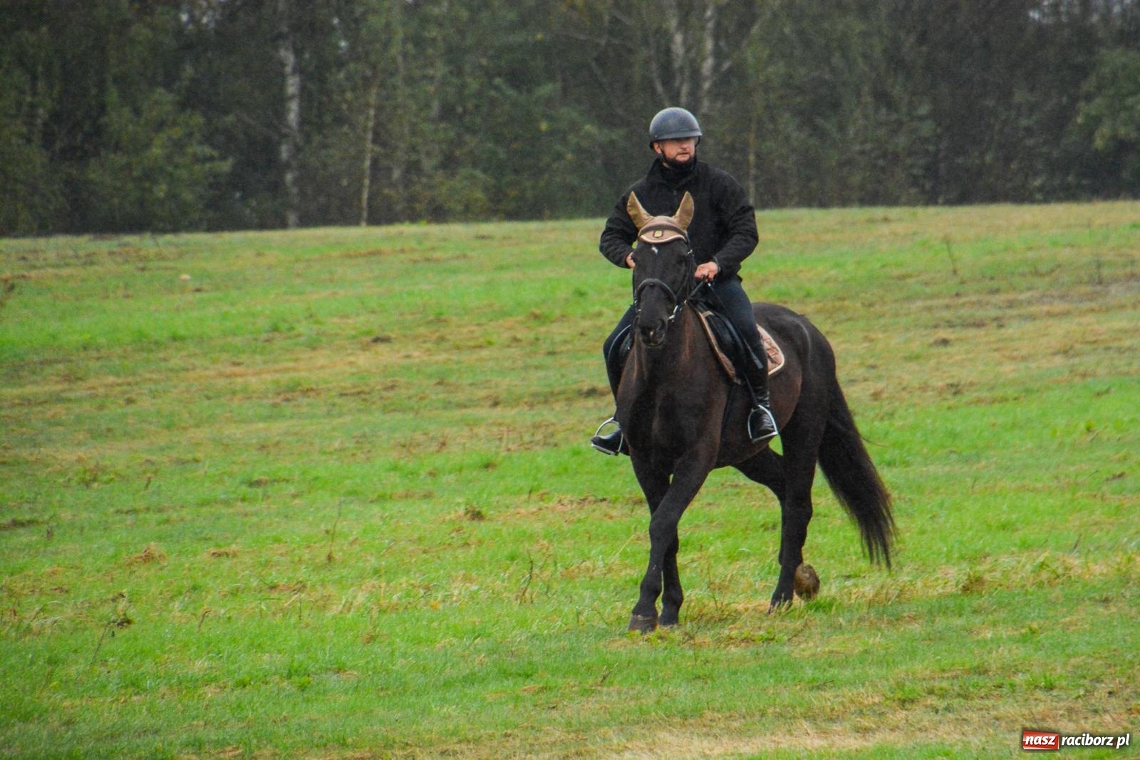 Zdjęcie w galerii na portalu naszraciborz.pl: Piknik Świętego Huberta w Łańcach: tradycja, przygoda i pasja w deszczowej scenerii wiadomości z regionu
