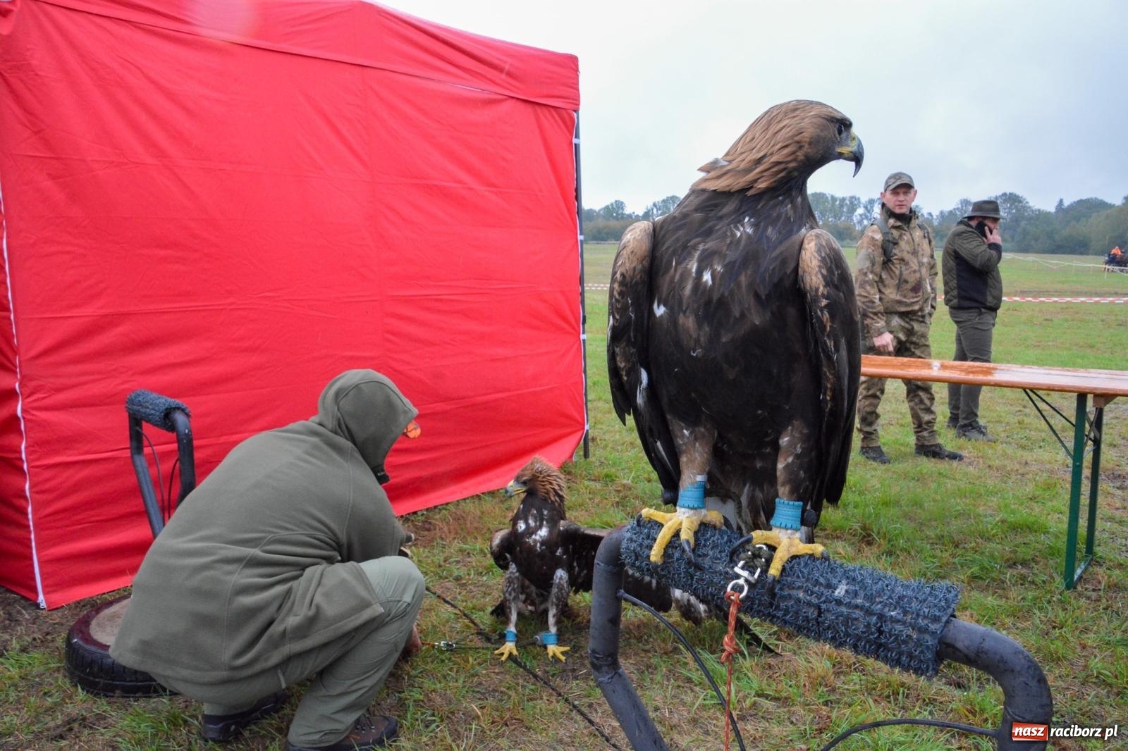 Zdjęcie w galerii na portalu naszraciborz.pl: Piknik Świętego Huberta w Łańcach: tradycja, przygoda i pasja w deszczowej scenerii wiadomości z regionu