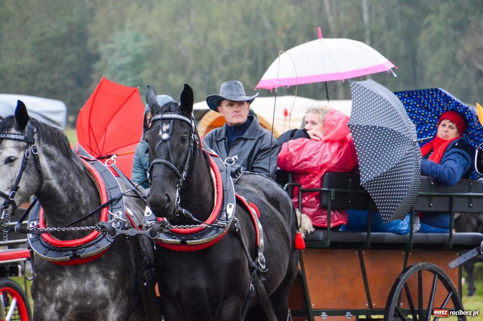 Zdjęcie w galerii na portalu naszraciborz.pl: Piknik Świętego Huberta w Łańcach: tradycja, przygoda i pasja w deszczowej scenerii wiadomości z regionu