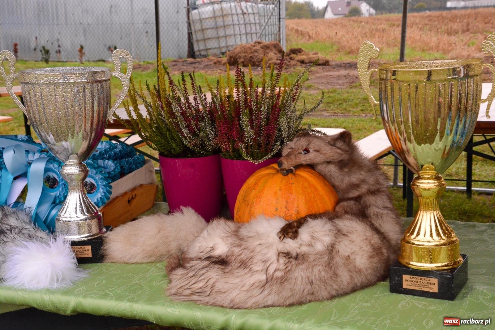 Zdjęcie w galerii na portalu naszraciborz.pl: Piknik Świętego Huberta w Łańcach: tradycja, przygoda i pasja w deszczowej scenerii wiadomości z regionu
