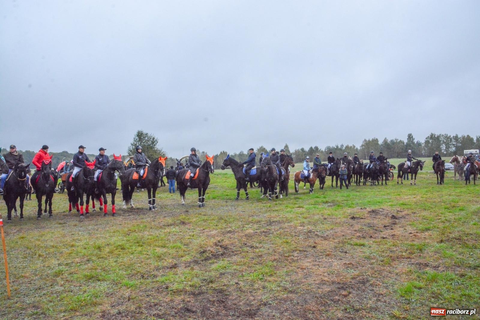 Zdjęcie w galerii na portalu naszraciborz.pl: Piknik Świętego Huberta w Łańcach: tradycja, przygoda i pasja w deszczowej scenerii wiadomości z regionu