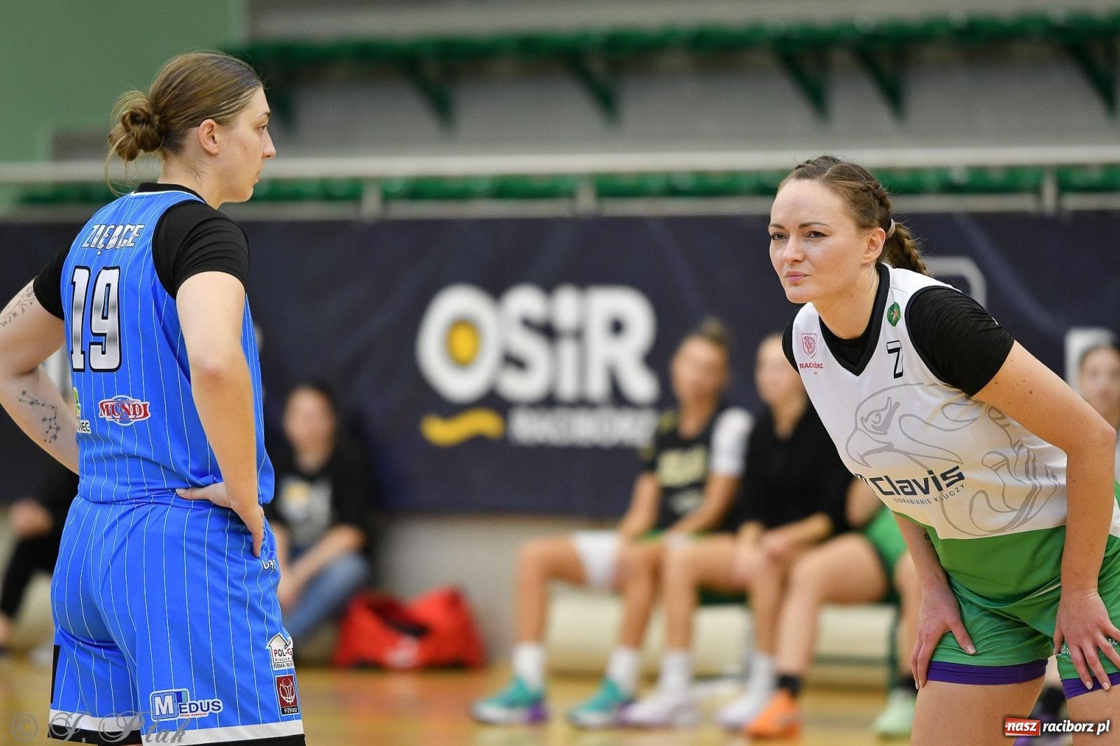 Zdjęcie w galerii na portalu naszraciborz.pl: Sparta Ziębice zdecydowanie lepsza od RKK AZS Racibórz [FOTO] wiadomości z regionu