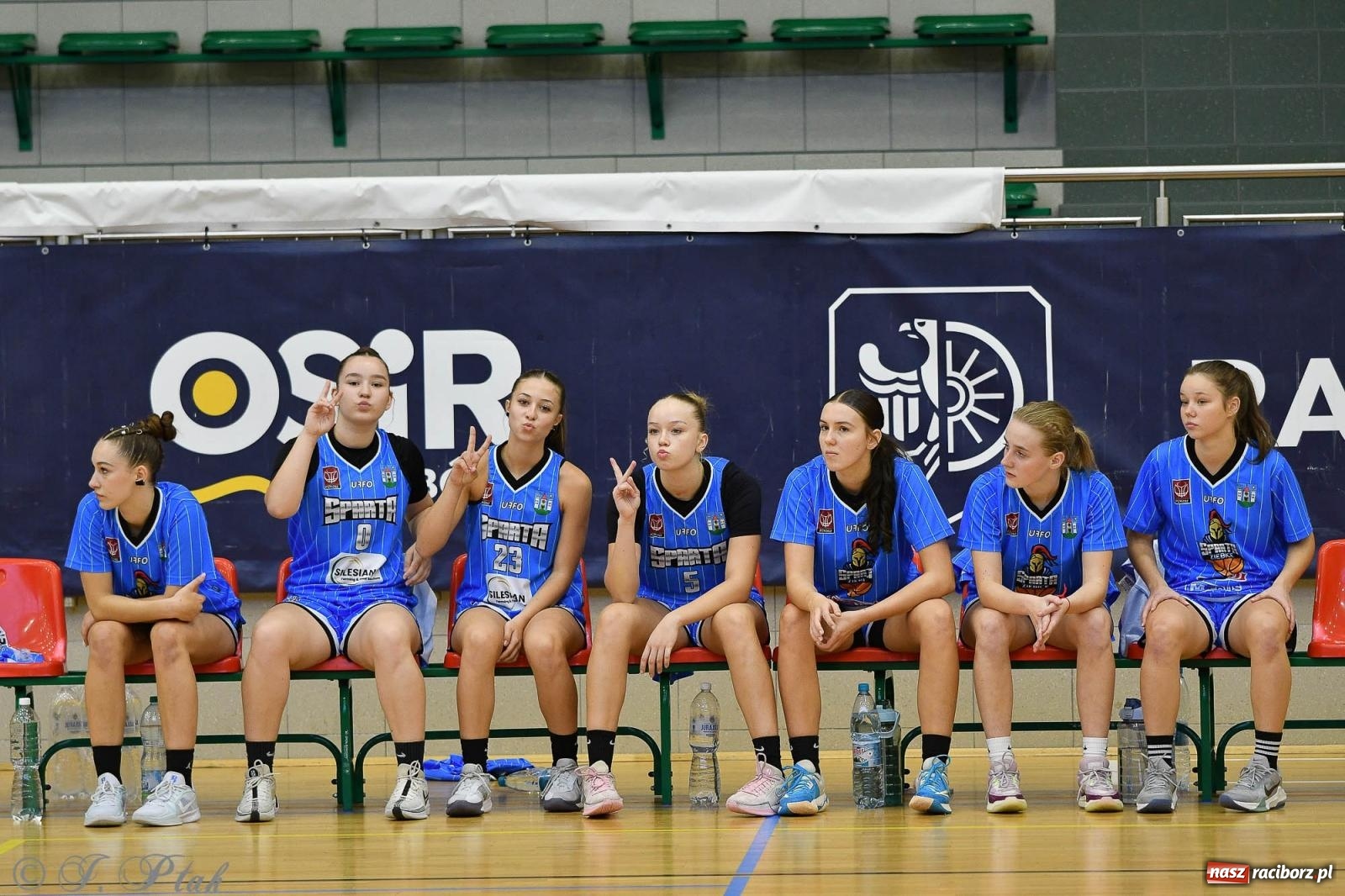 Zdjęcie w galerii na portalu naszraciborz.pl: Sparta Ziębice zdecydowanie lepsza od RKK AZS Racibórz [FOTO] wiadomości z regionu