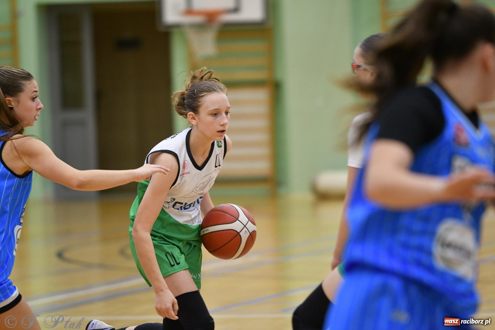 Zdjęcie w galerii na portalu naszraciborz.pl: Sparta Ziębice zdecydowanie lepsza od RKK AZS Racibórz [FOTO] wiadomości z regionu